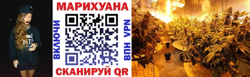 Наркошоп купить МЕТАДОН  Меф  Cocaine  ГАШ  Псилоцибиновые грибы  Каннабис  Амфетамин  Новоржев