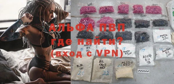 спиды Богородицк