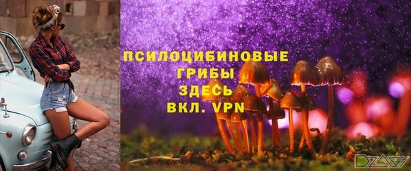 соль ск Бронницы