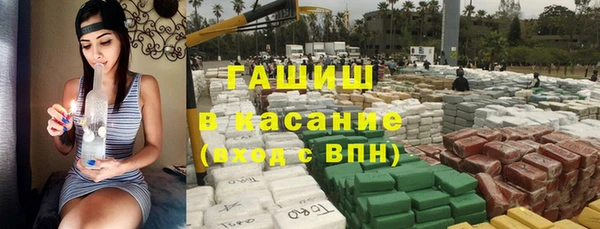 спиды Богородицк