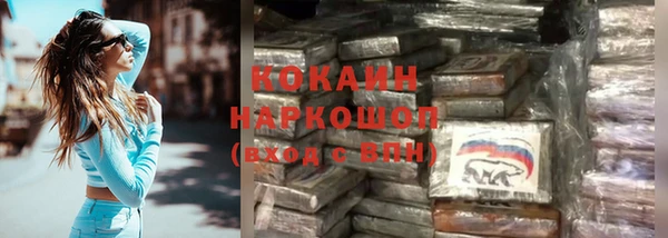 спиды Богородицк